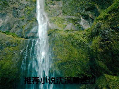 沈溪周远山（沈溪周远山）全文免费阅读无弹窗大结局