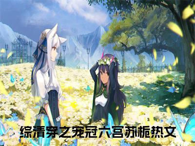 综清穿之宠冠六宫苏栀（综清穿之宠冠六宫苏栀）全文免费阅读无弹窗大结局_综清穿之宠冠六宫苏栀在线阅读笔趣阁