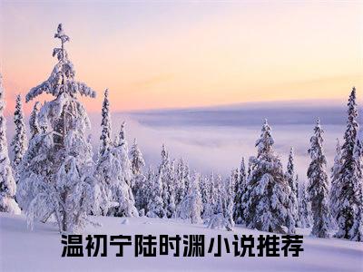 温初宁陆时渊小说（温初宁陆时渊）全文免费阅读无弹窗大结局_（温初宁陆时渊小说全文免费阅读无弹窗）温初宁陆时渊最新章节列表_笔趣阁（温初宁陆时渊小说）