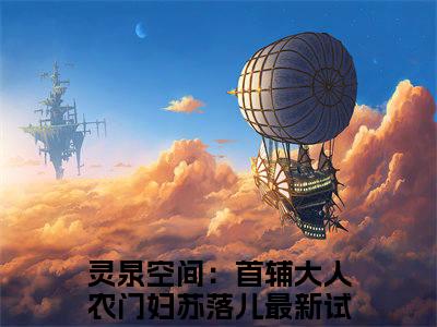 灵泉空间：首辅大人农门妇苏落儿小说-（灵泉空间：首辅大人农门妇苏落儿）小说全文免费阅读