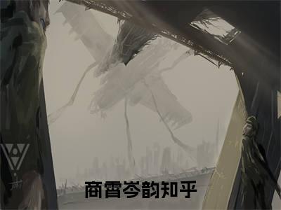 商霄岑韵免费阅读，主角为商霄岑韵的言情小说