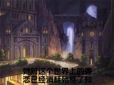 她对这个世界上的眷恋已经消耗殆尽了（傅明然沈意书）最新免费阅读-她对这个世界上的眷恋已经消耗殆尽了小说在线阅读
