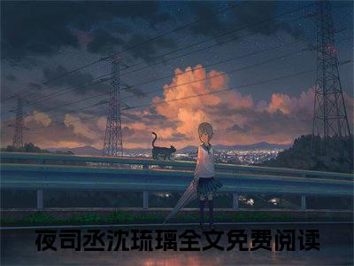 夜司丞沈琉璃（琉璃见君不思卿）全文免费阅读无弹窗大结局_夜司丞沈琉璃最新章节列表-笔趣阁琉璃见君不思卿