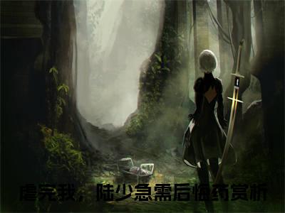 （陆聂琛苏槿叶）全文免费阅读无弹窗大结局-虐完我，陆少急需后悔药全文阅读无弹窗