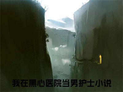 主角为我在黑心医院当男护士的小说（陈佳佳）无弹窗大结局-最新小说陈佳佳全文阅读最新章节列表_笔趣阁