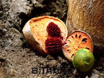 白汀月刘芳芸小说（玄蛇在侧）全文免费阅读无弹窗大结局_玄蛇在侧最新章节列表