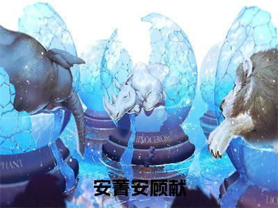 安菁安顾献经典小说无广告小说免费阅读 安菁安顾献全章节免费阅读