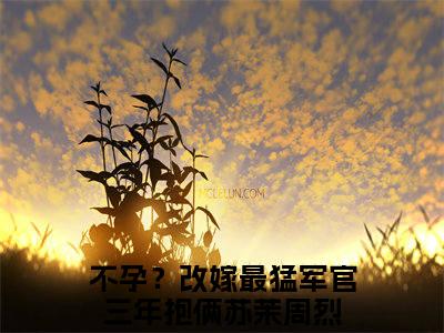 不孕？改嫁最猛军官三年抱俩苏茉周烈小说免费(不孕？改嫁最猛军官三年抱俩苏茉周烈)全文免费阅读无弹窗（不孕？改嫁最猛军官三年抱俩苏茉周烈小说）最新章节列表_笔趣阁