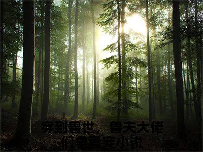 冷月汐全文免费阅读_（穿到兽世，兽夫大佬们争着宠免费阅读无弹窗）冷月汐最新章节列表笔趣阁