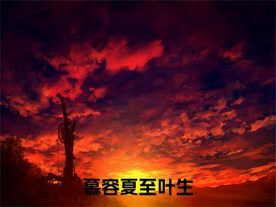 慕容夏至叶生（慕容夏至叶生）全文免费阅读无弹窗大结局-慕容夏至叶生最新章节列表-笔趣阁