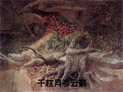免费小说（千枕月岑云鹤）全文免费阅读无弹窗-千枕月岑云鹤小说全文在线赏析