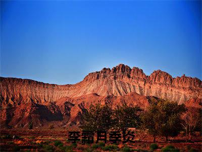 李霜月季炎全文免费阅读无弹窗大结局-(李霜月季炎)什么小说-李霜月季炎热门小说更新