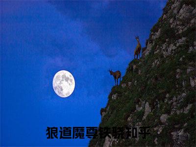 狼道魔尊铁骁（狼道魔尊铁骁）小说全文-狼道魔尊铁骁无弹窗免费阅读