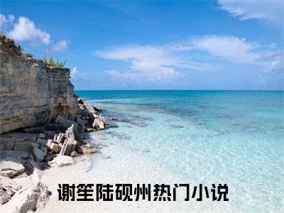 谢笙陆砚州全文免费阅读无弹窗（谢笙陆砚州）小说-谢笙陆砚州小说免费阅读