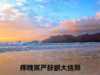 《柳晚棠严辞邺》柳晚棠严辞邺（大结局小说全集完整版）柳晚棠严辞邺小说_全文阅读笔趣阁