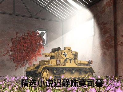 迟静姝莫司暮小说全文（迟静姝莫司暮）全文免费阅读无弹窗大结局_迟静姝莫司暮小说全文最新章节列表_笔趣阁