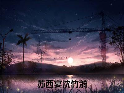 苏西宴沈竹漪热门小说在哪免费看-小说（苏西宴沈竹漪）完整版全文在线赏析