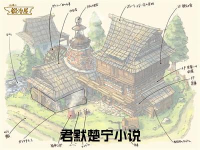 渣男宠妾灭妻？她二嫁太子全文（君默楚宁）全文免费阅读无弹窗大结局_君默楚宁最新章节列表_笔趣阁（渣男宠妾灭妻？她二嫁太子）