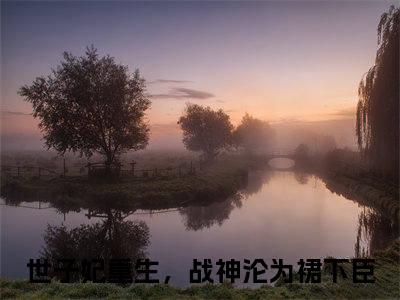 姜宁宁小说全文免费阅读-（世子妃重生，战神沦为裙下臣）姜宁宁精选小说大结局阅读