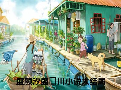 盛颜汐盛璟川最新完结言情文-盛颜汐盛璟川小说讲述的是什么盛颜汐盛璟川