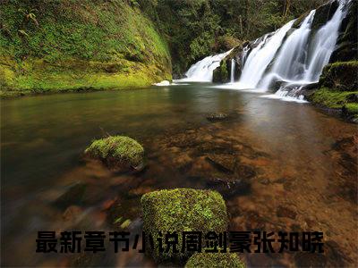 周剑豪张知晓全文免费阅读无弹窗大结局-周剑豪张知晓全文在线阅读