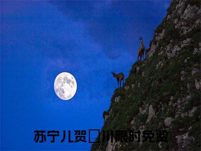 小说（苏宁儿贺璟川）最新章节免费阅读-（苏宁儿贺璟川）小说全文无删减版