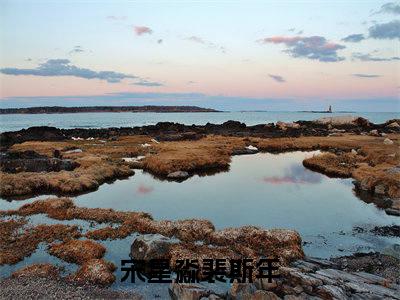 宋星淼裴斯年小说免费(宋星淼裴斯年)全文免费阅读无弹窗-宋星淼裴斯年小说全文免费阅读最新章节列表_笔趣阁