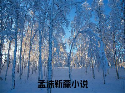 孟沫靳森（孟沫靳森）全文免费阅读无弹窗大结局_孟沫靳森在线阅读（孟沫靳森）最新章节列表笔趣阁（孟沫靳森）