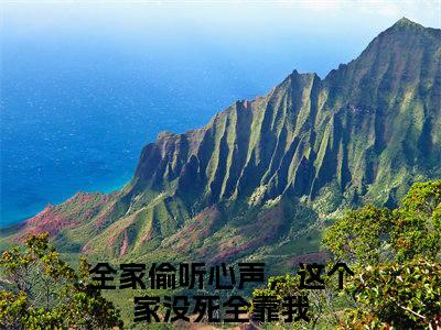 全家偷听心声，这个家没死全靠我小说精彩章节今日阅读更新-（袁满元轻轻小说）免费阅读小说全文