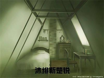 沐绯靳楚锐是什么小说-（沐绯靳楚锐）小说全文阅读