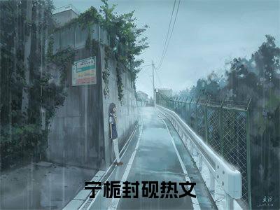 宁栀封砚小说大结局精彩推荐，宁栀封砚全文完整版在线阅读
