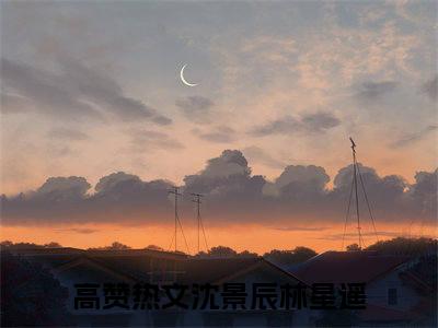 沈景辰林星遥（沈景辰林星遥）免费阅读-沈景辰林星遥小说免费观看
