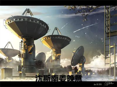 沈斯南姜晚意(沈斯南姜晚意)全文免费阅读无弹窗大结局_(沈斯南姜晚意)最新章节