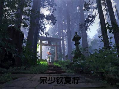 宋少钦夏柠（宋少钦夏柠）高质量小说免费阅读_宋少钦夏柠最新章节列表_笔趣阁