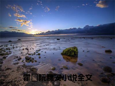 霍櫂阮穗安小说(霍櫂阮穗安)全文免费阅读_霍櫂阮穗安（霍櫂阮穗安）最新章节完整版免费阅读（霍櫂阮穗安）