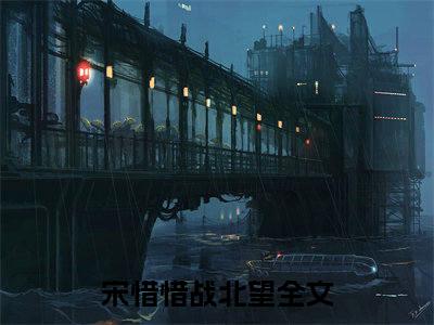 重披铠甲，将军夫人她英姿飒爽（宋惜惜战北望）全文免费阅读无弹窗大结局_重披铠甲，将军夫人她英姿飒爽最新章节列表_笔趣阁（免费+番外）