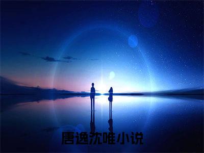 唐逸沈唯小说免费阅读无弹窗大结局，唐逸沈唯最新章节列表