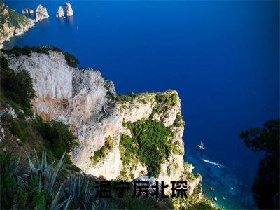 温宁厉北琛小说在线阅读全文免费阅读无弹窗大结局_温宁厉北琛小说免费最新章节列表_笔趣阁