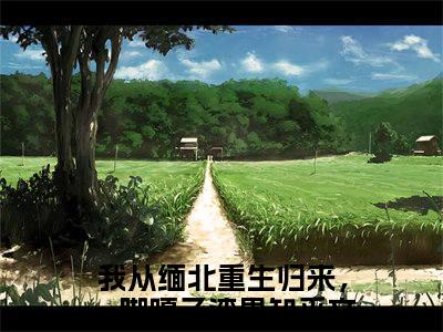 我从缅北重生归来，一脚嘎了渣男全文免费阅读大结局-靳斯言陆知夏最新章节阅读