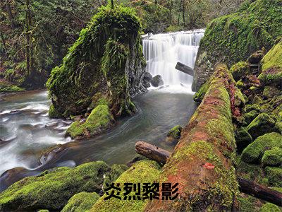 炎烈黎影阅读无弹窗大结局_（炎烈黎影阅读无弹窗）最新章节列表_笔趣阁（炎烈黎影）