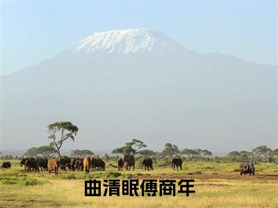 曲清眠傅商年（曲清眠傅商年）全文免费大结局，曲清眠傅商年结局在线阅读
