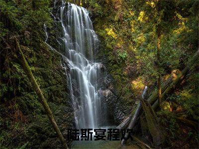 陆斯宴程欢小说热门榜单免费阅读，陆斯宴程欢抖音新上热文分享_笔趣阁