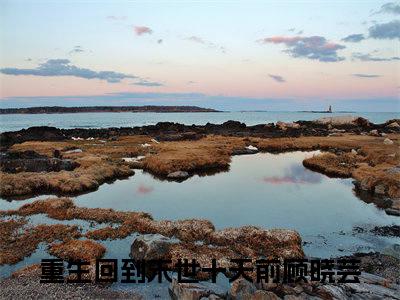 重生回到末世十天前顾晓芸（重生回到末世十天前顾晓芸）全文在线阅读无弹窗大结局_重生回到末世十天前顾晓芸最新章节列表_笔趣阁