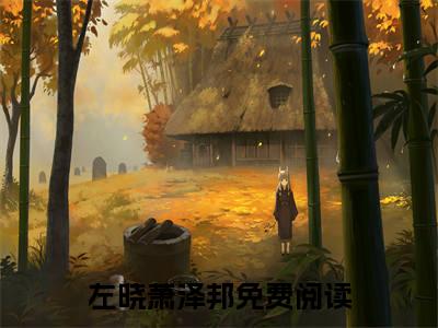 左晓萧泽邦小说（左晓萧泽邦）完整版全文在线赏析-小说左晓萧泽邦全文大结局已完结