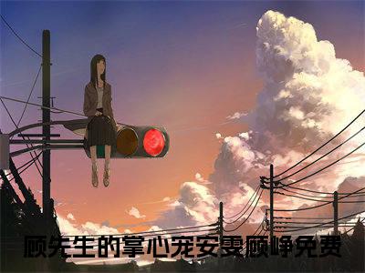 顾先生的掌心宠安雯顾峥小说全文无删减版在线阅读_（顾先生的掌心宠安雯顾峥）小说全文免费阅读_顾先生的掌心宠安雯顾峥最新章节列表_笔趣阁