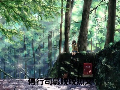 傅行司慕晚晚（妈咪，爹地没你不行）全文免费阅读无弹窗大结局_妈咪，爹地没你不行完整版小说阅读（傅行司慕晚晚）