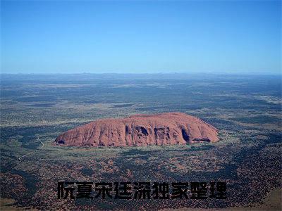 阮夏宋廷深（阮夏宋廷深）小说全文免费阅读无弹窗大结局_（阮夏宋廷深）阮夏宋廷深最新章节列表笔趣阁（阮夏宋廷深）