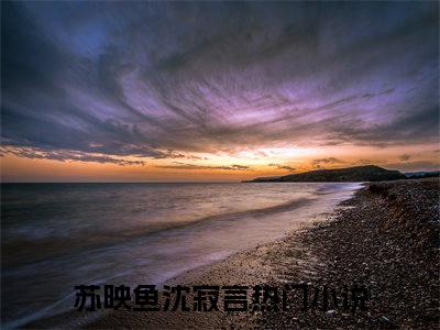 苏映鱼沈寂言小说全文-苏映鱼沈寂言小说苏映鱼沈寂言免费阅读大结局