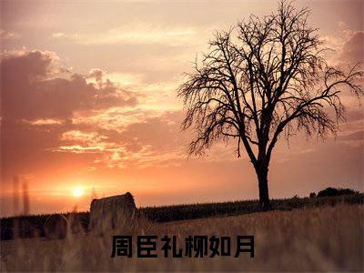 周臣礼柳如月(周臣礼柳如月)全文免费阅读无弹窗大结局-周臣礼柳如月求书热文免费阅读