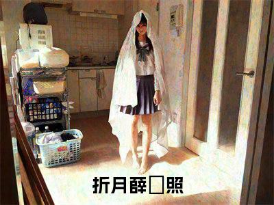 折月（薛姮照）全文免费阅读无弹窗大结局_薛姮照最新章节列表（折月）